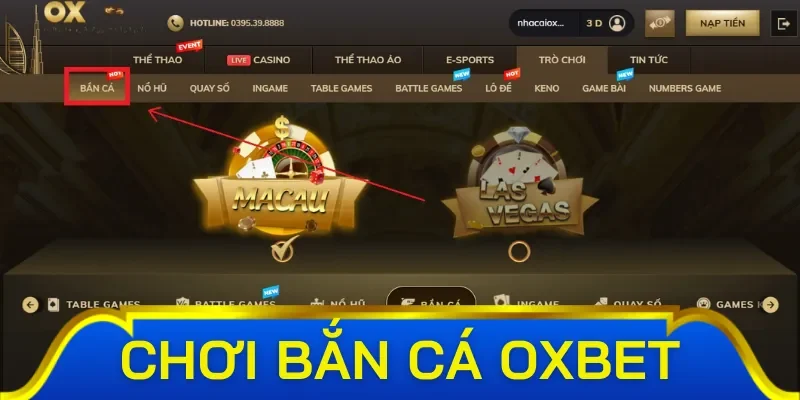 Mẹo chơi bắn cá đổi thưởng từ cao thủ tại Oxbet 