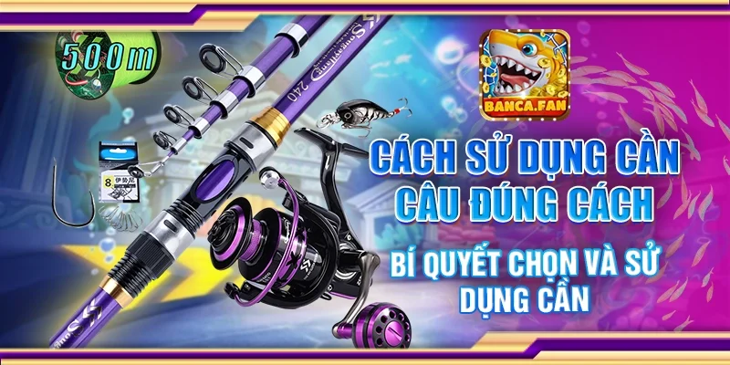 Cách Sử Dụng Cần Câu Đúng Cách – Bí Quyết Chọn Và Dùng Cần