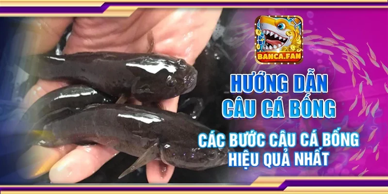 Hướng Dẫn Câu Cá Bống – Các Bước Câu Cá Bống Hiệu Quả Nhất