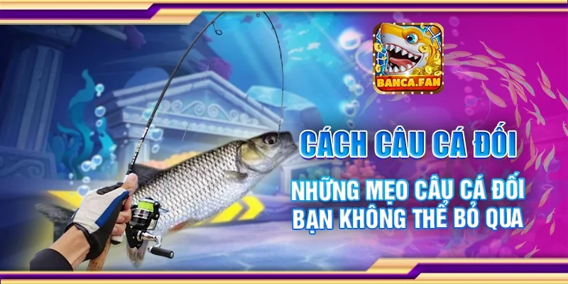 Cách Câu Cá Đối – Những Mẹo Câu Cá Đối Bạn Không Thể Bỏ Qua