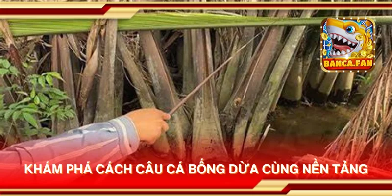 Khám phá cách câu cá bống dừa cùng nền tảng