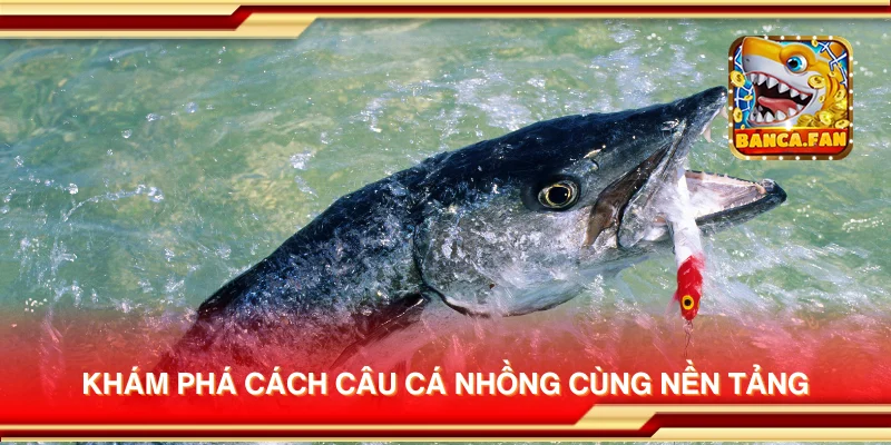 Khám phá cách câu cá nhồng cùng nền tảng