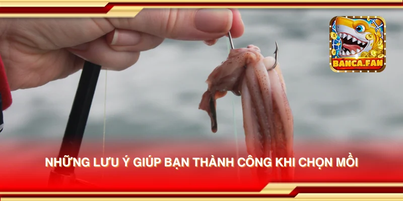 Những lưu ý giúp bạn thành công khi chọn mồi