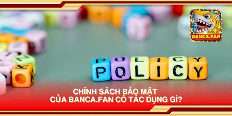 Chính sách bảo mật của eimizaideih.in có tác dụng gì?