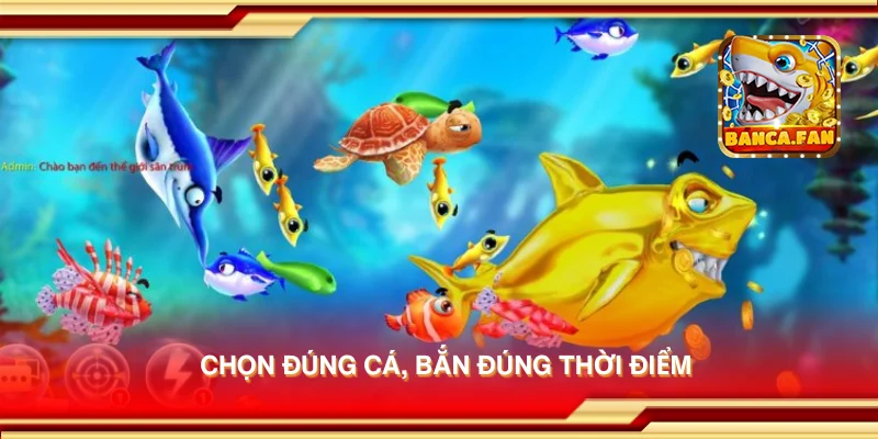 Chọn đúng cá, bắn đúng thời điểm