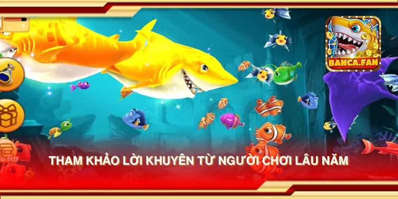 Tham khảo lời khuyên từ người chơi lâu năm