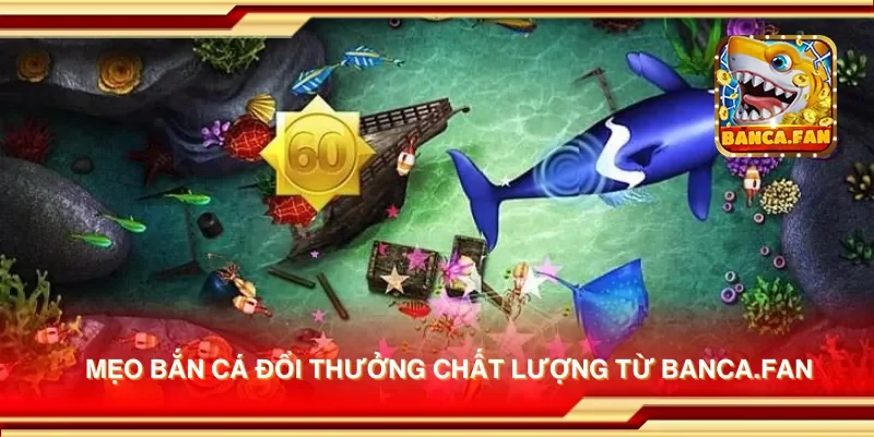 Mẹo bắn cá đổi thưởng chất lượng từ eimizaideih.in