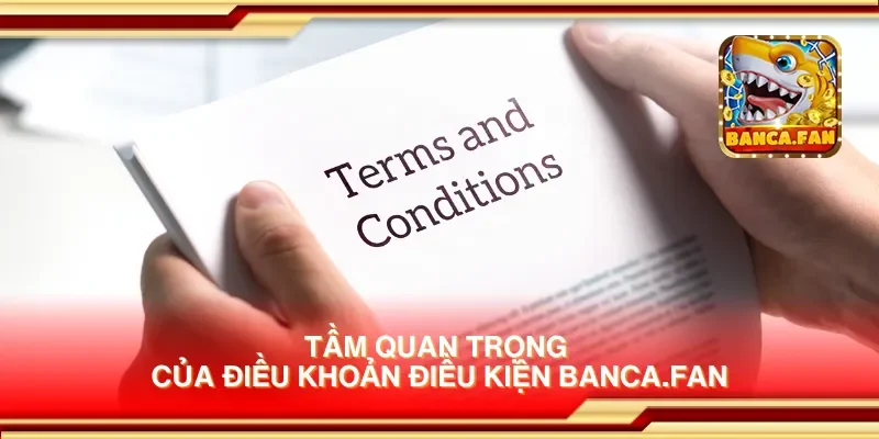 Tầm quan trọng của điều khoản điều kiện eimizaideih.in
