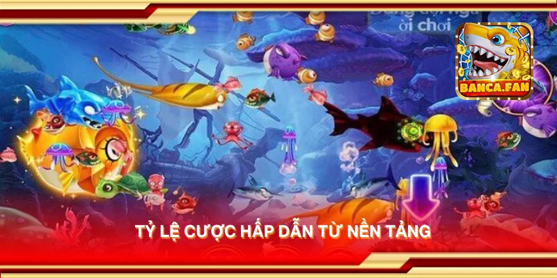 Tỷ lệ cược hấp dẫn từ nền tảng