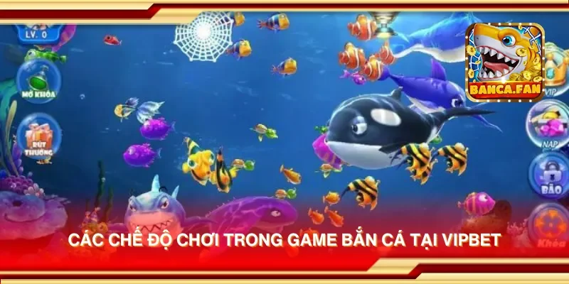 Các chế độ chơi trong game bắn cá tại Vipbet