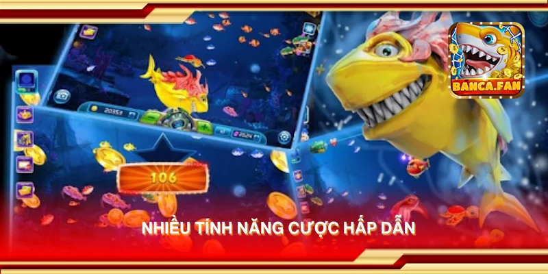 Nhiều tính năng cược hấp dẫn