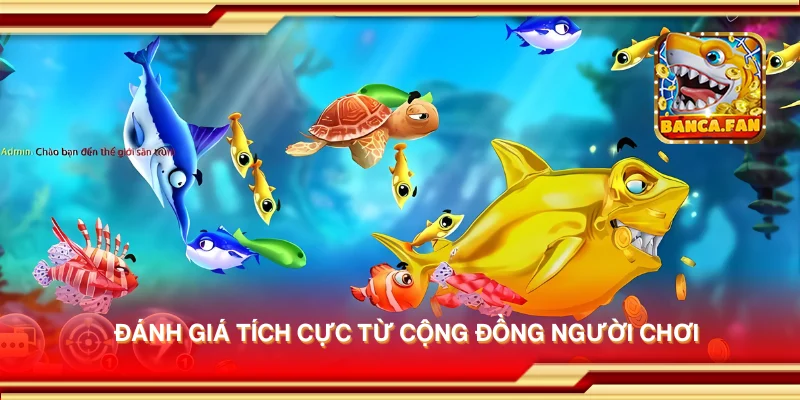 Đánh giá tích cực từ cộng đồng người chơi