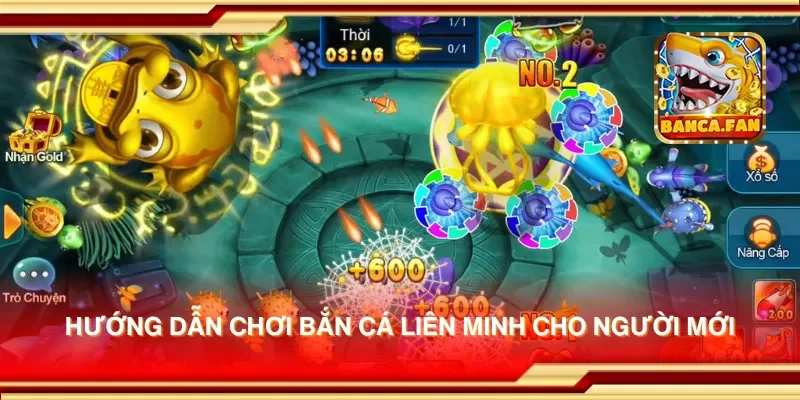 Hướng dẫn chơi bắn cá liên minh cho người mới