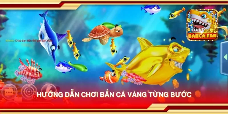 Hướng dẫn chơi bắn cá vàng từng bước