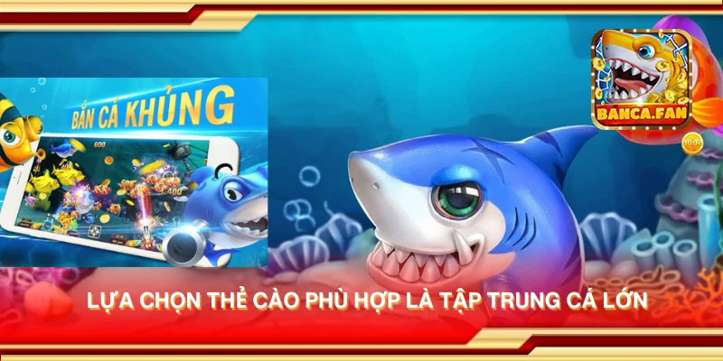 Lựa chọn thẻ cào phù hợp là tập trung cá lớn
